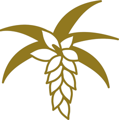 夏本番！ガサガサかかと・ザラザラひざのケアもできる、
2種類のクレイと黒糖を使ったボディ用石鹸『ナチュラルマッドソープ』発売