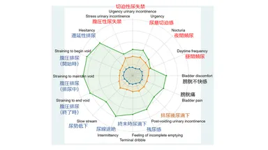 図1. 各グループの下部尿路症状の程度