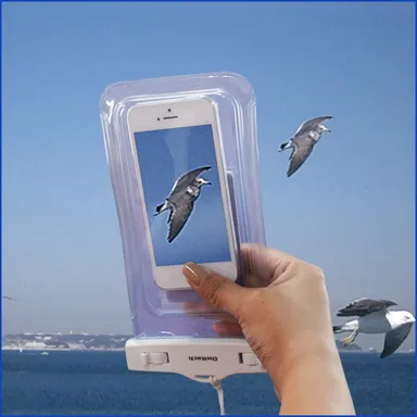 水辺での写真撮影も可能