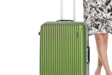 シエスタ　オリーブ カラー