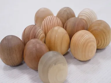 「誕生木のたまご」12種