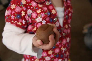 「誕生木のたまご」