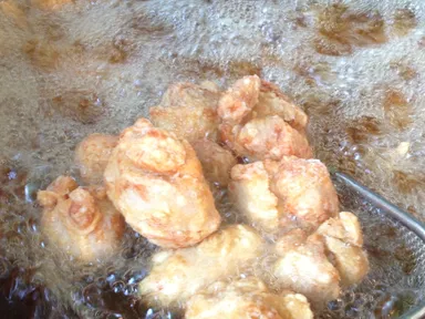 火の国くまもと肥後丸乃屋の塩からあげ