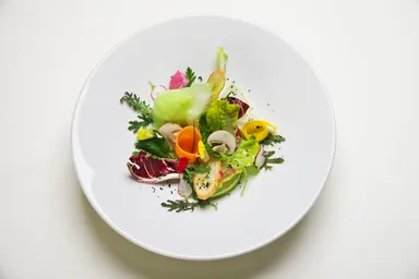 有機野菜とハーブのコンビネーションサラダ