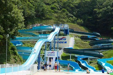 つま恋：スライダー