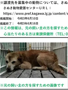 希望を持つチビ太