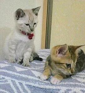 19歳の軌跡　うめ