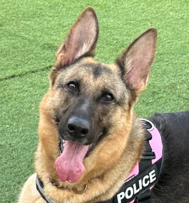 Grandirを導くDiana