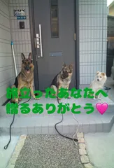 最期の「ありがとう」