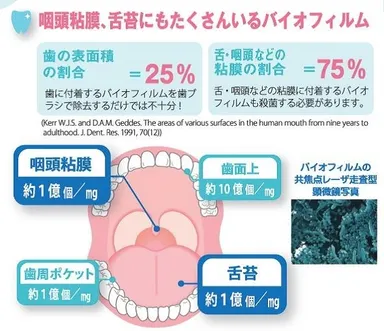 バイオフィルムについて
