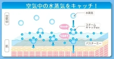 エクトインイメージ