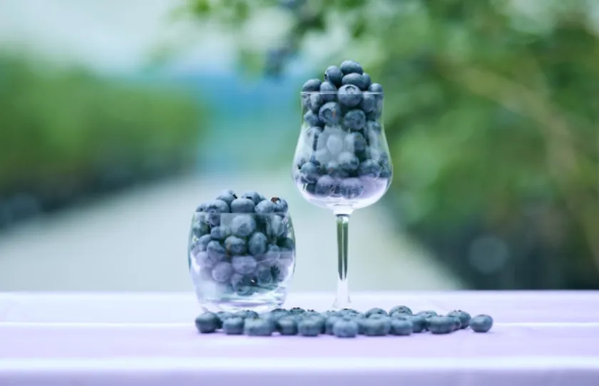 BLUE ANGELのプレミアム冷凍ブルーベリー