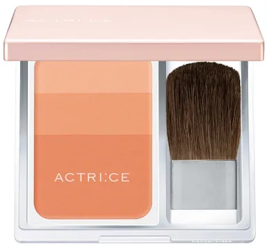 ノエビア アクトリース チーク