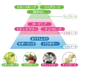 マリアの香り　フレグランス ピラミッド