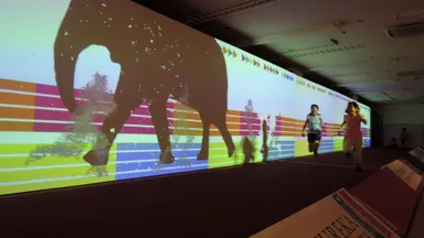 スポーツタイムマシン