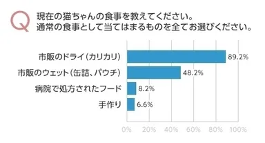 愛猫の食事タイプ
