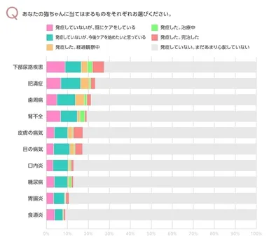 心配している愛猫の疾患 2