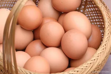 奥多摩観光協会