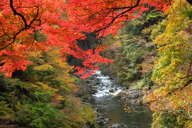 大多摩観光連盟