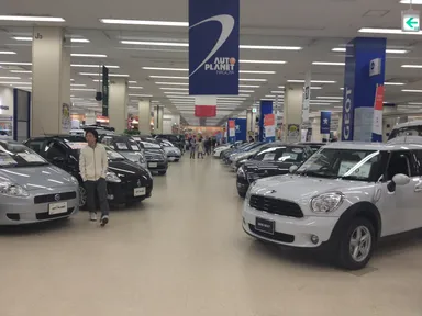 見渡す限り輸入車だらけ！