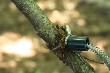 「猟師に弟子入り体験」イメージ3