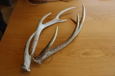 「猟師に弟子入り体験」イメージ4