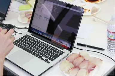 「水産ハッカソン」風景