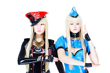 FEMM