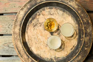 百年企業／寺田本家