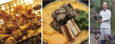 炭火焼風景、ぶり鶏親子丼、ぶり鶏養鶏場