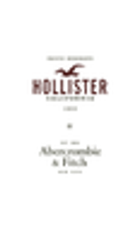 Hollister Co.のロゴ