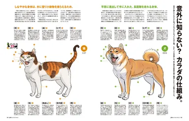 犬と猫のカラダの仕組みをわかりやすく解説