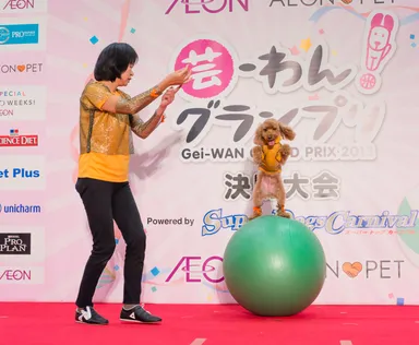 2013年度チャンピオン　鮫島さんとリクくん