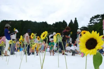 「雪上ひまわり畑」開催時の様子