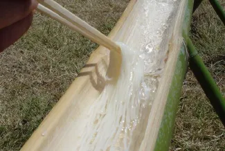 「流しそうめん」開催時の様子