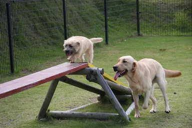 ぐらわんピック