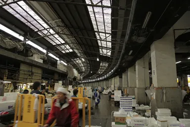 『Tsukiji Wonderland(仮題)』(4)