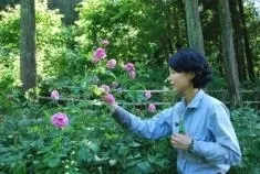 ローズウオーク・フラワーガイドイメージ