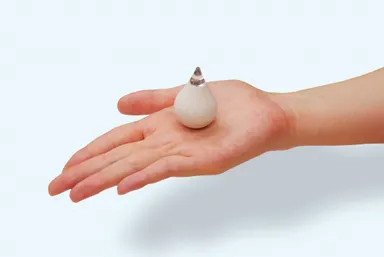 Beaconハードウェア　イメージ