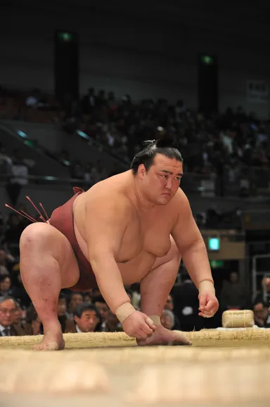 大関　稀勢の里関