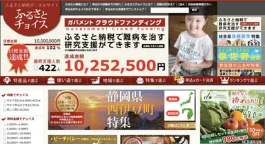 ふるさとチョイス