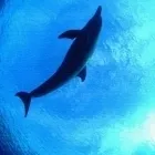 製品イメージ 3