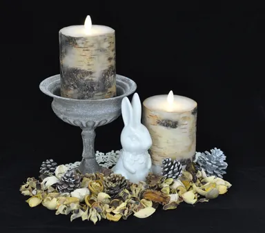 バーチウッド　秋