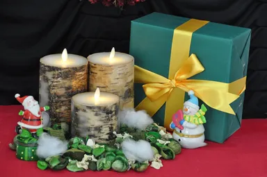 バーチウッド　冬