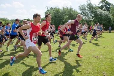 「ザ・コーポレートゲームズ 東京 2014」イメージ