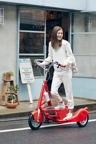 ウォーキングバイシクル1