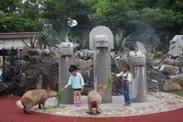 伊豆シャボテン公園「カピバラ虹の広場」