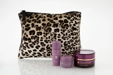 ラメラファクター