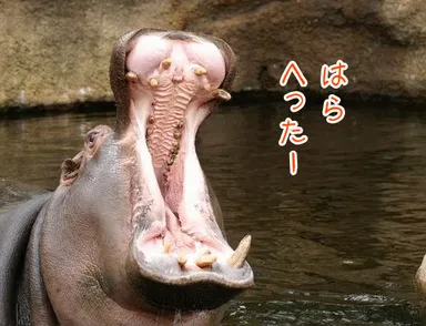 写真との合成例