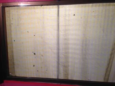 左：通常の防虫網　右：虫のイヤがる網